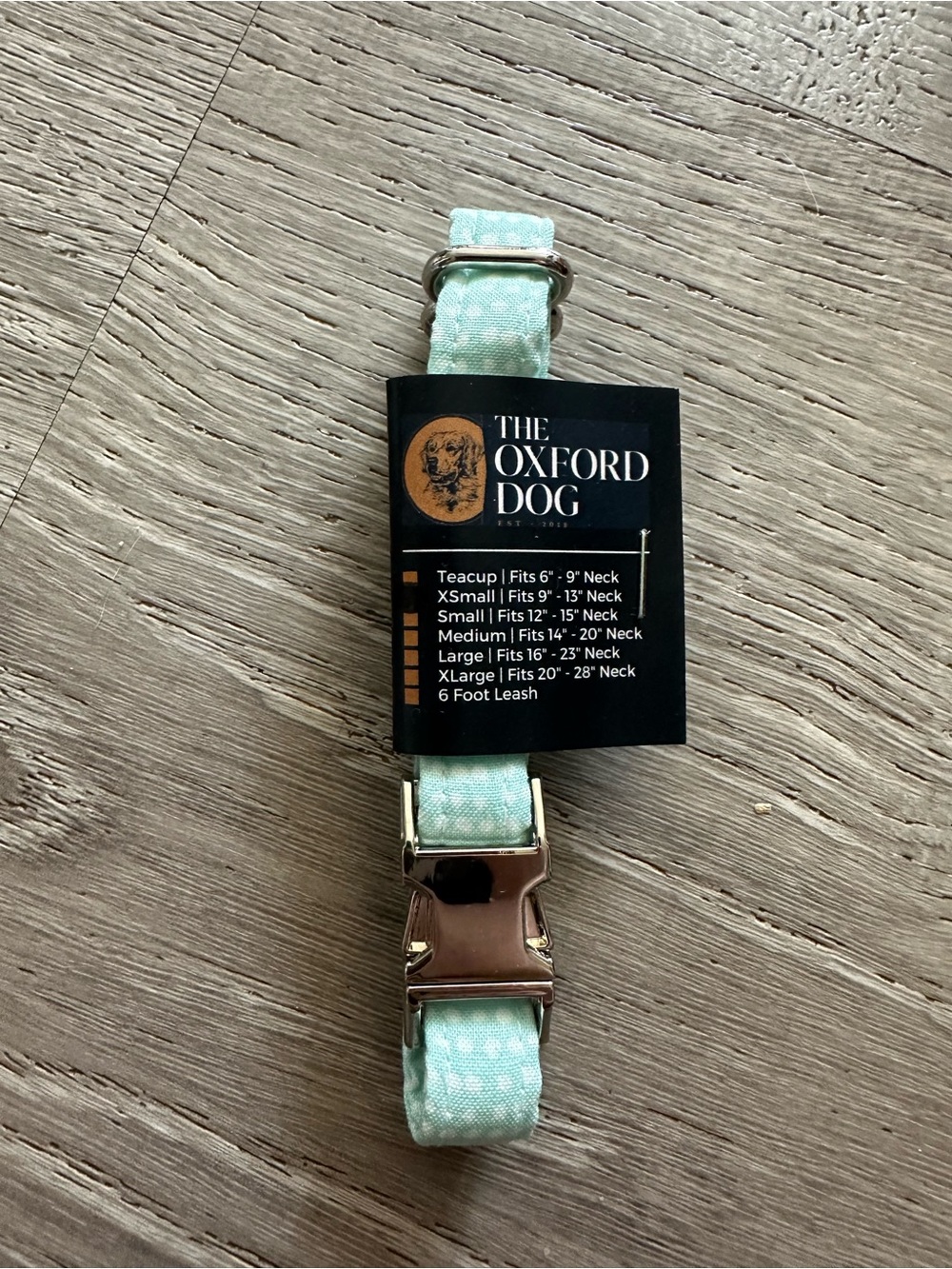 Mint Green Adjustable Dog Collar - Small